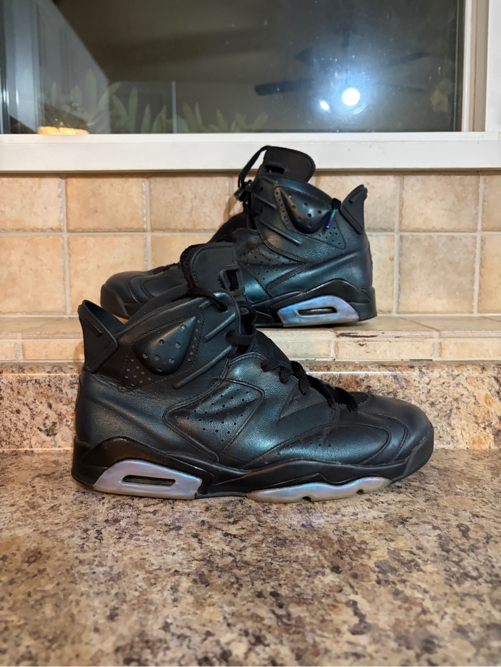 Jordan 6 Chaneleon Allstar